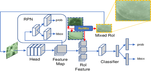 Figure 3 for RoIMix: Proposal-Fusion among Multiple Images for Underwater Object Detection