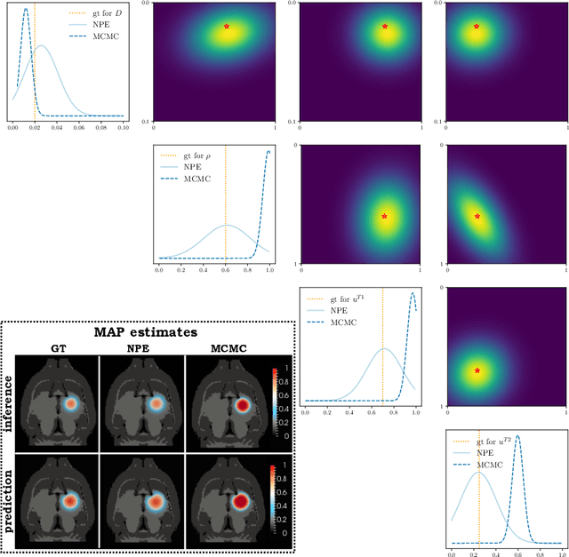 Figure 2 for Neural parameters estimation for brain tumor growth modeling