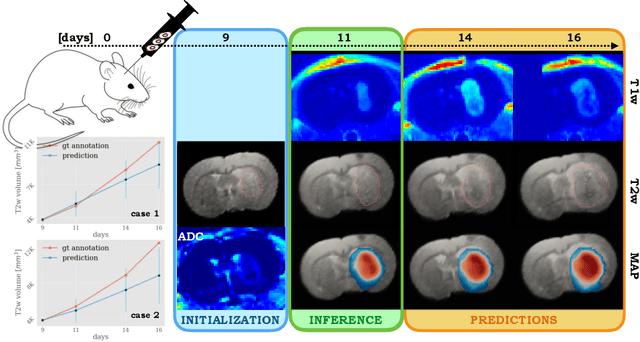Figure 3 for Neural parameters estimation for brain tumor growth modeling