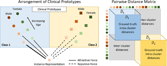 Figure 3 for DROPS: Deep Retrieval of Physiological Signals via Attribute-specific Clinical Prototypes