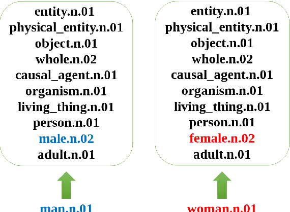 Figure 1 for Preserving the Hypernym Tree of WordNet in Dense Embeddings