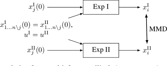 Figure 1 for Identifying Causal Structure in Dynamical Systems
