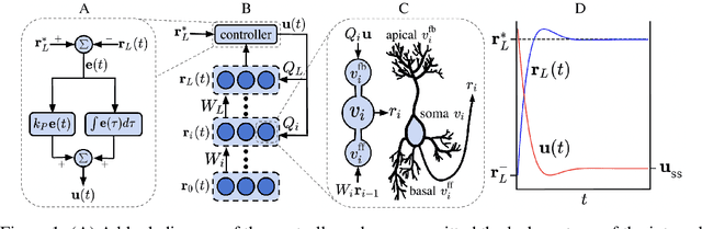 Figure 1 for Credit Assignment in Neural Networks through Deep Feedback Control