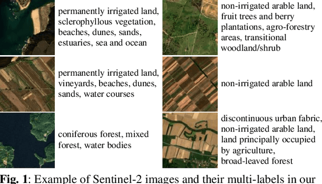 Figure 2 for BigEarthNet: A Large-Scale Benchmark Archive For Remote Sensing Image Understanding