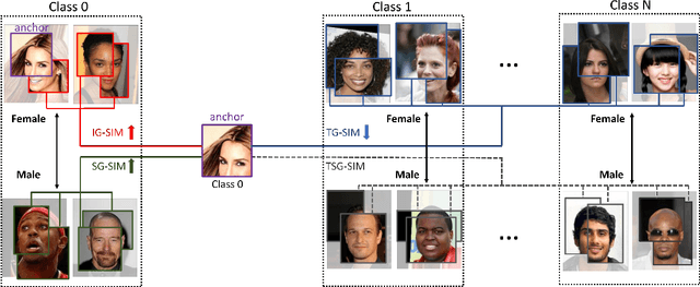 Figure 1 for Fair Contrastive Learning for Facial Attribute Classification