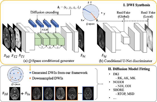 Figure 1 for Q-space Conditioned Translation Networks for Directional Synthesis of Diffusion Weighted Images from Multi-modal Structural MRI