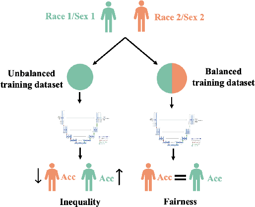 Figure 1 for A systematic study of race and sex bias in CNN-based cardiac MR segmentation