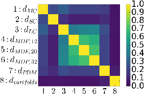 Figure 1 for Comparison of Distances for Supervised Segmentation of White Matter Tractography
