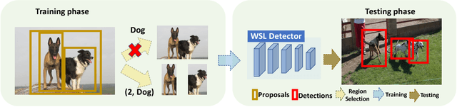 Figure 1 for C-WSL: Count-guided Weakly Supervised Localization