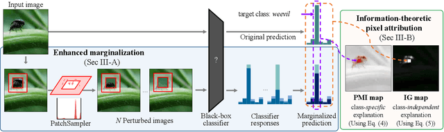Figure 2 for Information-Theoretic Visual Explanation for Black-Box Classifiers