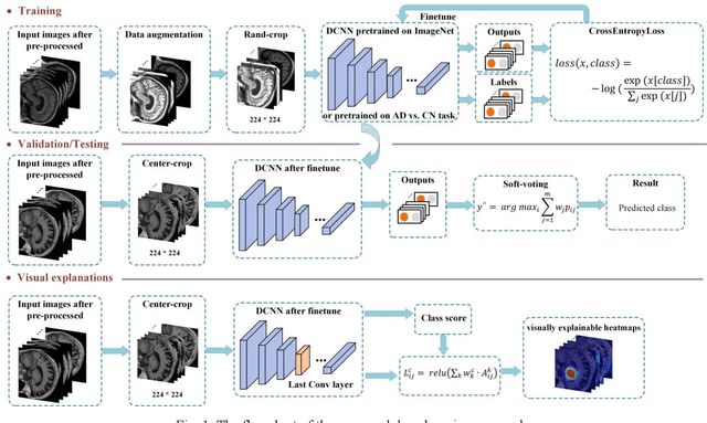 Figure 2 for An explainable two-dimensional single model deep learning approach for Alzheimer's disease diagnosis and brain atrophy localization