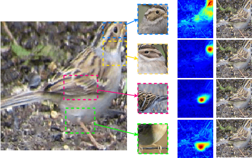 Figure 1 for This looks like that: deep learning for interpretable image recognition