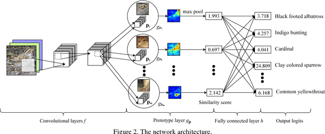 Figure 3 for This looks like that: deep learning for interpretable image recognition