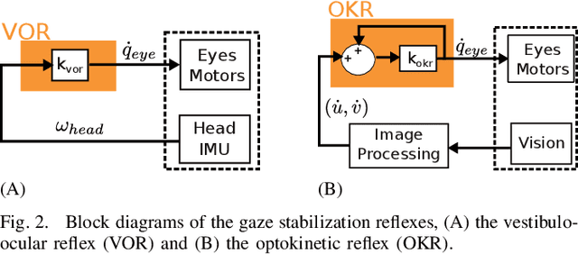 Figure 2 for Multimodal Gaze Stabilization of a Humanoid Robot based on Reafferences