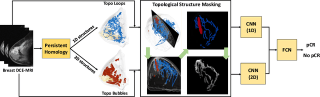 Figure 3 for TopoTxR: A Topological Biomarker for Predicting Treatment Response in Breast Cancer