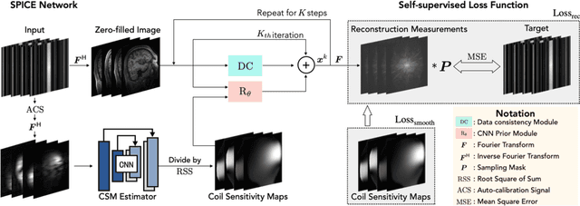 Figure 1 for SPICE: Self-Supervised Learning for MRI with Automatic Coil Sensitivity Estimation