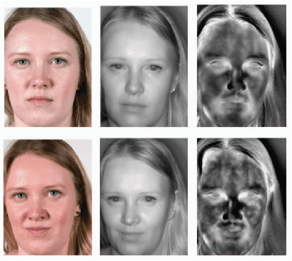 Figure 1 for The Use of AI for Thermal Emotion Recognition: A Review of Problems and Limitations in Standard Design and Data