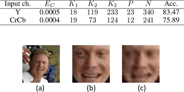 Figure 2 for Low-Resolution Face Recognition In Resource-Constrained Environments
