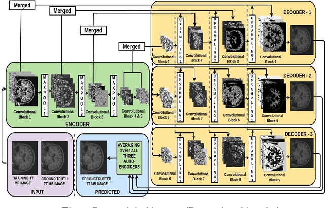 Figure 3 for Learning to Decode 7T-like MR Image Reconstruction from 3T MR Images