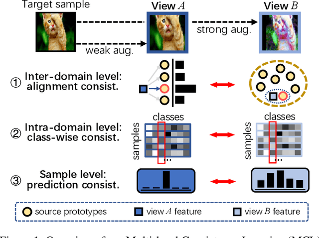 Figure 1 for Multi-level Consistency Learning for Semi-supervised Domain Adaptation