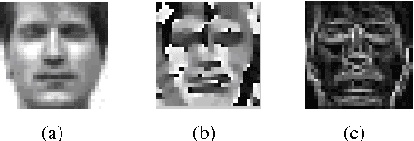 Figure 1 for Shape Primitive Histogram: A Novel Low-Level Face Representation for Face Recognition