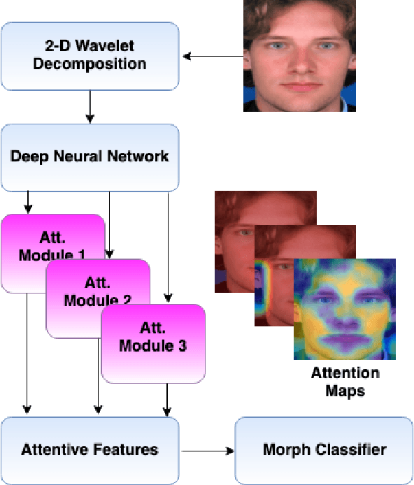 Figure 1 for Attention Aware Wavelet-based Detection of Morphed Face Images