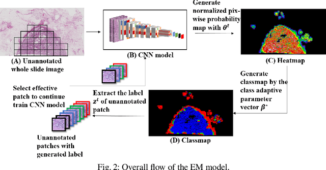 Figure 3 for A Semi-Supervised Framework for Automatic Pixel-Wise Breast Cancer Grading of Histological Images