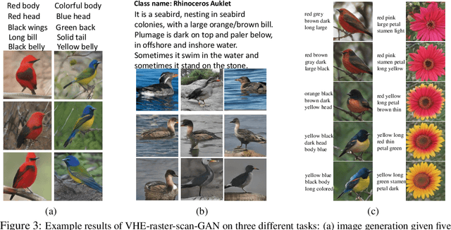 Figure 4 for Variational Hetero-Encoder Randomized Generative Adversarial Networks for Joint Image-Text Modeling