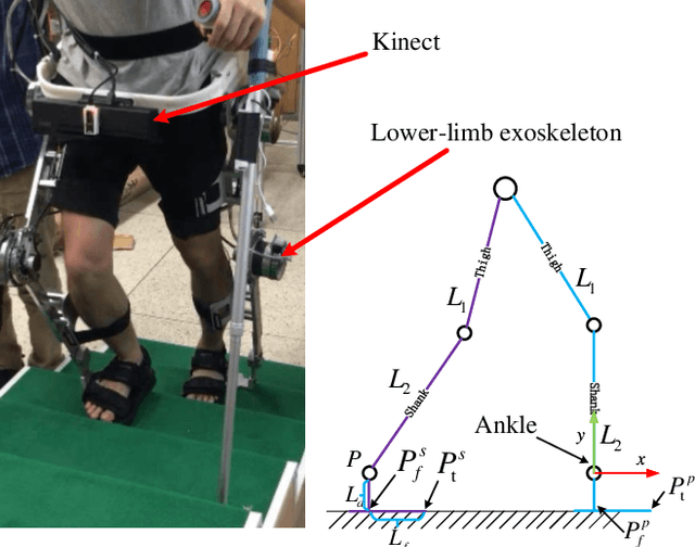 Figure 2 for Gait Graph Optimization: Generate Variable Gaits from One Base Gait for Lower-limb Rehabilitation Exoskeleton Robots