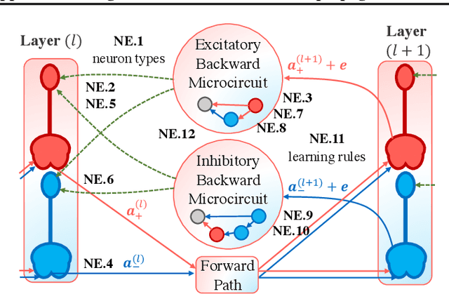 Figure 3 for A Computational Framework of Cortical Microcircuits Approximates Sign-concordant Random Backpropagation