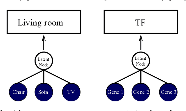 Figure 1 for Unsupervised learning of transcriptional regulatory networks via latent tree graphical models