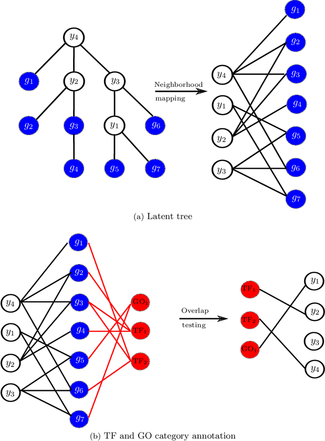 Figure 3 for Unsupervised learning of transcriptional regulatory networks via latent tree graphical models