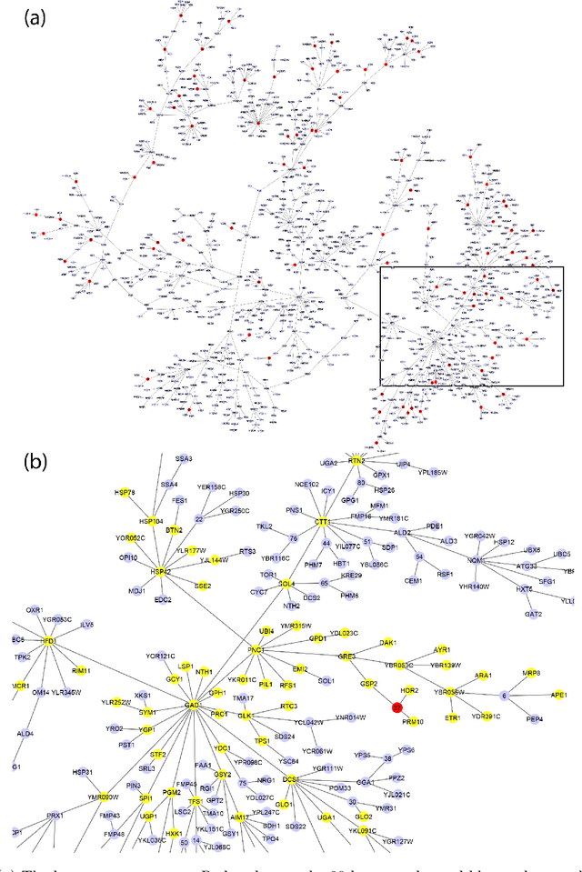 Figure 4 for Unsupervised learning of transcriptional regulatory networks via latent tree graphical models