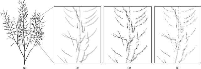 Figure 1 for PST: Plant Segmentation Transformer Enhanced Phenotyping of MLS Oilseed Rape Point Cloud