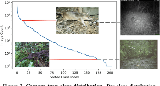 Figure 4 for The iWildCam 2021 Competition Dataset