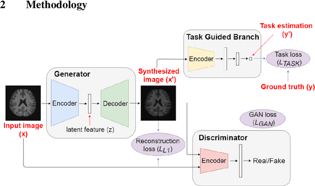 Figure 1 for Image Augmentation Using a Task Guided Generative Adversarial Network for Age Estimation on Brain MRI