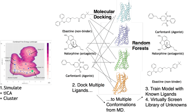 Figure 3 for Machine Learning Harnesses Molecular Dynamics to Discover New $μ$ Opioid Chemotypes