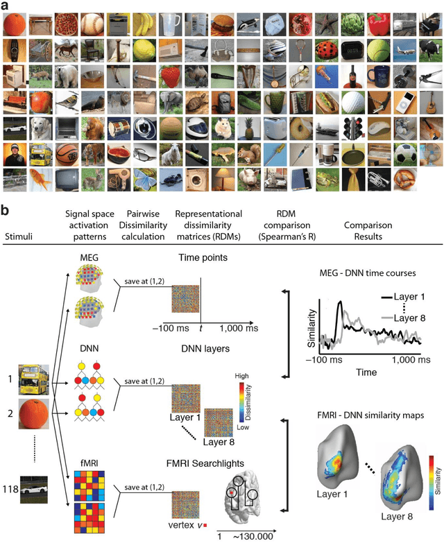 Figure 2 for Deep Neural Networks predict Hierarchical Spatio-temporal Cortical Dynamics of Human Visual Object Recognition