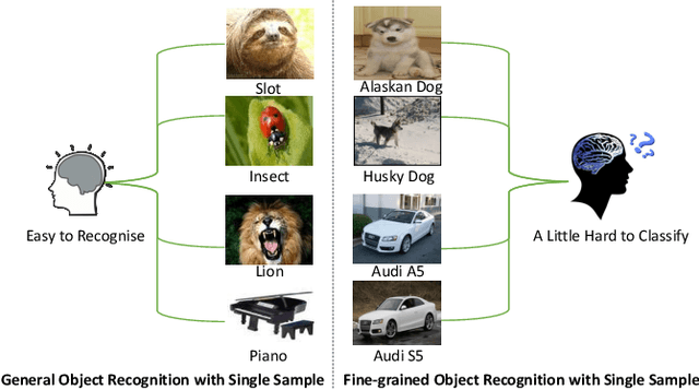 Figure 1 for Low-Rank Pairwise Alignment Bilinear Network For Few-Shot Fine-Grained Image Classification