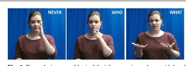 Figure 1 for Recognizing American Sign Language Manual Signs from RGB-D Videos