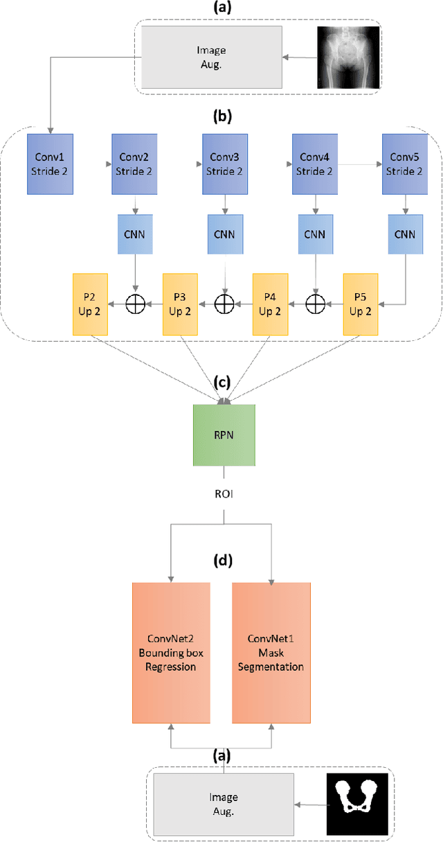 Figure 1 for Region-based Convolution Neural Network Approach for Accurate Segmentation of Pelvic Radiograph
