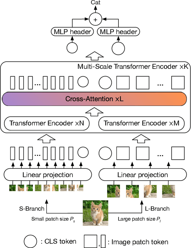 Figure 3 for CrossViT: Cross-Attention Multi-Scale Vision Transformer for Image Classification
