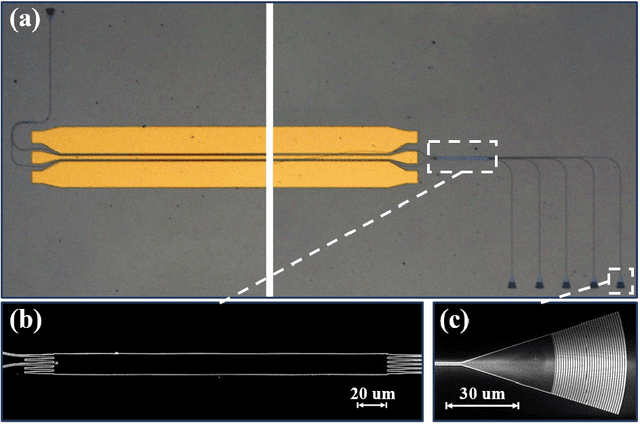 Figure 4 for Photonic sampled and quantized analog-to-digital converters on thin-film lithium niobate platform