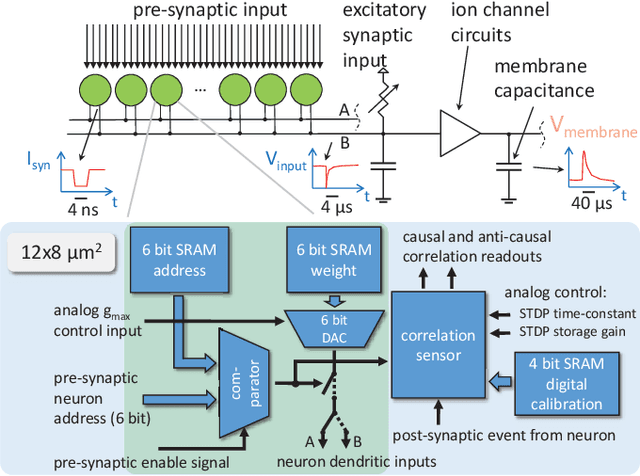 Figure 2 for An Accelerated Analog Neuromorphic Hardware System Emulating NMDA- and Calcium-Based Non-Linear Dendrites