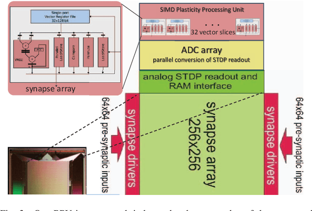 Figure 3 for An Accelerated Analog Neuromorphic Hardware System Emulating NMDA- and Calcium-Based Non-Linear Dendrites