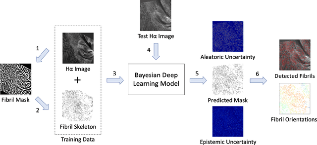 Figure 3 for Tracing Halpha Fibrils through Bayesian Deep Learning