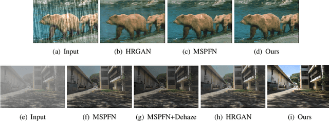 Figure 2 for ContourletNet: A Generalized Rain Removal Architecture Using Multi-Direction Hierarchical Representation