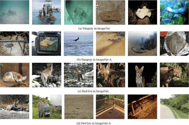 Figure 1 for Rethinking Natural Adversarial Examples for Classification Models