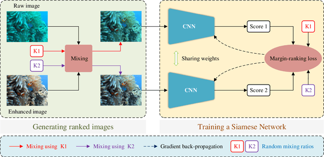 Figure 2 for Twice Mixing: A Rank Learning based Quality Assessment Approach for Underwater Image Enhancement