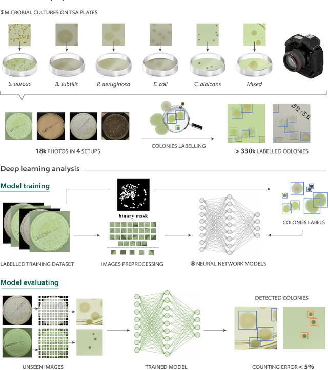 Figure 1 for AGAR a microbial colony dataset for deep learning detection